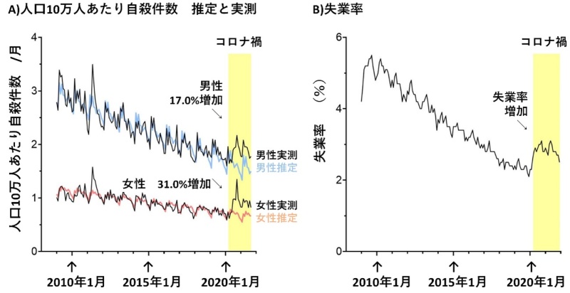 新型コロナ禍における、自殺件数と失業率を表したグラフ（横浜市立大学HPより引用）